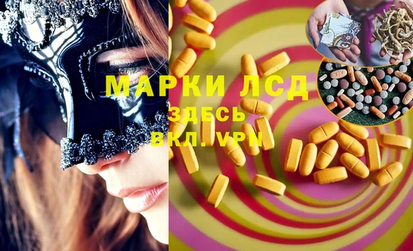 ГАЛЛЮЦИНОГЕННЫЕ ГРИБЫ Гусев