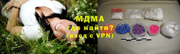 ГАЛЛЮЦИНОГЕННЫЕ ГРИБЫ Гусев