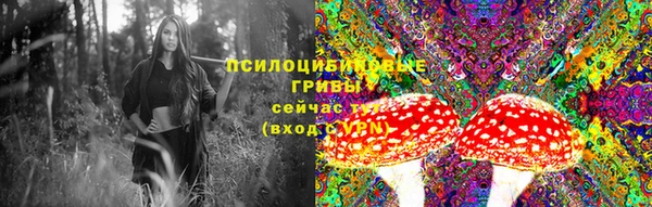 a pvp Гусь-Хрустальный