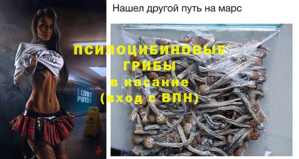 a pvp Гусь-Хрустальный