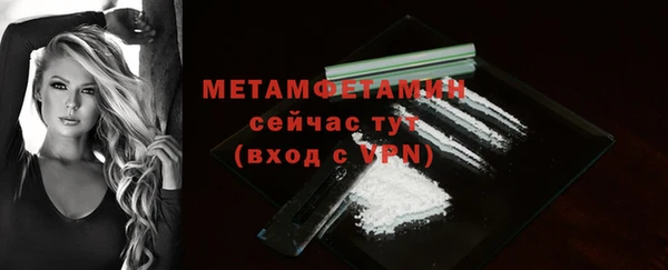 ГАЛЛЮЦИНОГЕННЫЕ ГРИБЫ Гусев