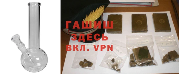 ГАЛЛЮЦИНОГЕННЫЕ ГРИБЫ Гусев