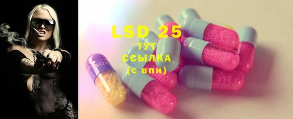 ГАЛЛЮЦИНОГЕННЫЕ ГРИБЫ Гусев