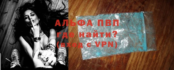 ГАЛЛЮЦИНОГЕННЫЕ ГРИБЫ Гусев