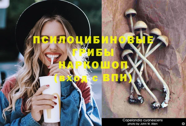 соль курить ск Гусиноозёрск