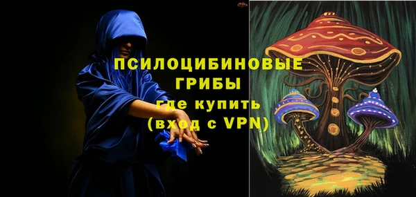 ГАЛЛЮЦИНОГЕННЫЕ ГРИБЫ Гусев