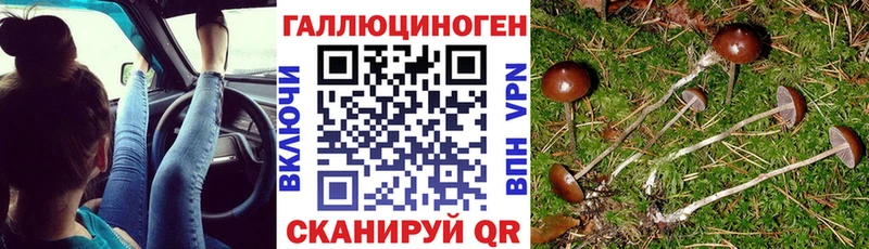 цена наркотик  Духовщина  Псилоцибиновые грибы ЛСД 